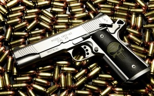 LargestGunStudy091413